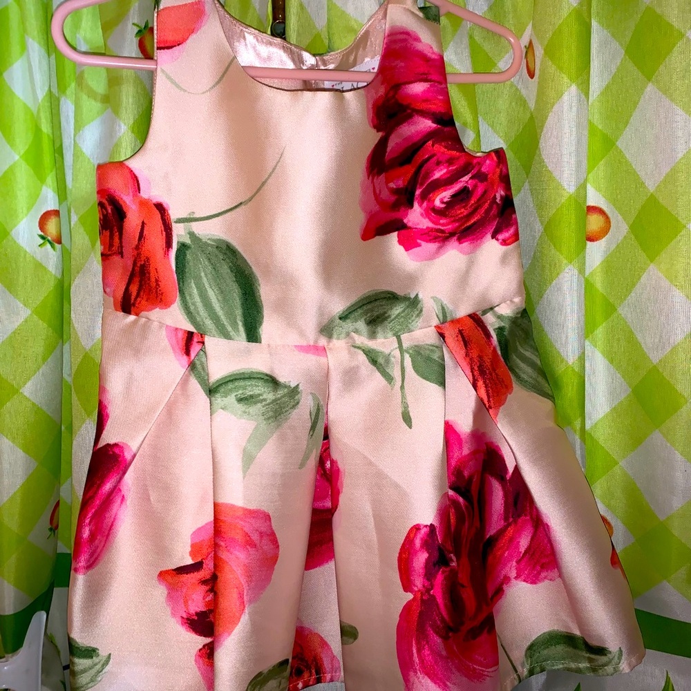 Baby pink and red floral dress
